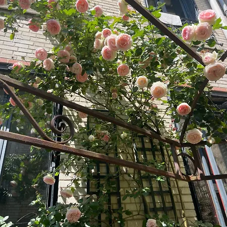 Villa La Campagne A Paris